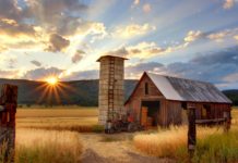 Ellátogathat egy különleges Szuperfarmra!