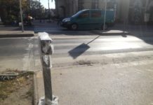 Okoszebrája van Dunakeszinek