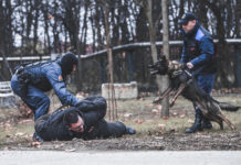 Szerb kutyás rendőröket képeztek ki Dunakeszin