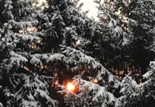 Az újév első hetében havazni fog