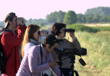 Ezek után nem nézhetik madárnak Dunakeszin