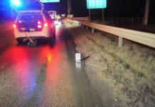 Holttestet találtak az M3-as autópályán, elkapták a cserbenhagyót