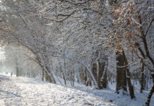 Havazásra, hófúvásra, ónos esőre készüljön!