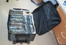 Ügyészségre vár egy dunakeszi házaspár