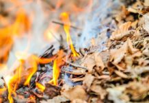 Jövőre vége az avarégetésnek