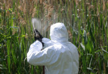 A szúnyogok mellé állt a nagy meleg a katasztrófavédelem szerint