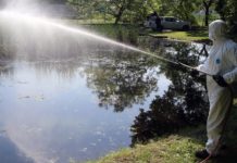 Lesz szúnyoggyérítés Dunakeszin