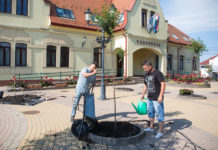 Faültetésben már kampány van, az ellenzék is ígér