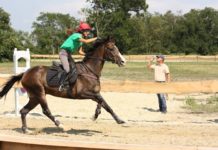 Újra lesz dunakeszi lovas a nemzeti vágtán