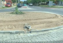 Átgázoltak a felújított körforgalmon