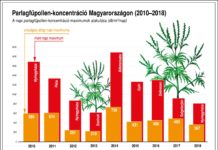 Nincs pardon parlagfűügyben