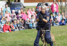 Növelni a biztonságérzetet, látványos bemutatók a Katonadombon