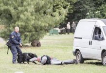 70 éves a kutyakiképzés Dunakeszin