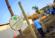 Dunakeszi zöld partnerei lesznek