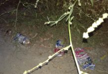 Dunakeszi tisztább, mint régen, de nem állnak le a környezetvédők