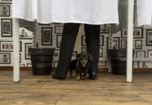 Dorosz Dávid előnye csökkent, a Fidesznek még jól is jöhet Karácsony támogatottja