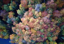 El sem hiszi, hogy ez az októberi időjárás