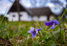 Káros a fagyhiány, most azonban lehűlés kezdődik