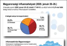 Pest megye és a vírus – Hivatalosan is influenzajárvány van