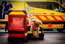 Újévi gyorsmérleg a mentősöknél