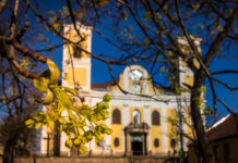 Fotópályázat a Zöldülő Dunakesziről, ajándékutalványt nyerhet