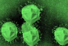 Látogatási tilalom jöhet a kórházakban