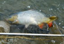 Egy hír, amely a horgászoknak fontos