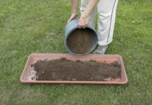 A sárgyűjtők védelmére figyelmeztetnek