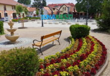 Hollandiából is érkezett virág Dunakeszi szépítésére