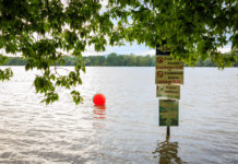 Ma tetőzik a Duna, találkoztunk egy hóddal