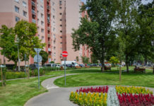 Az Animal Cannibals Dunakeszire jön a gyerekek kedvéért