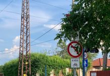 Lombkorona takarja el a KRESZ-táblát. Update! Levágták az ágakat!