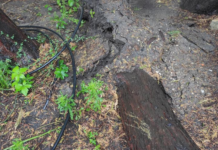 Dunakeszi is bekerült a Generali kárjelentésébe