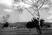 Árdrágítókra csaptak le Dunakeszin