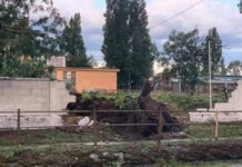 A tomboló viharról posztolt a polgármester