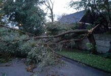 Az ELMŰ megértést kér a vihar után