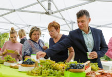 Egy édesanya nagyot álmodott – Hivatalosan is átadták a kispiacot