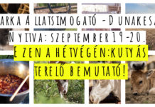 Birkaterelés lesz a hétvégén Dunakeszin