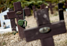 Béke Cirmi poraira – kisállattemető Dunakeszin