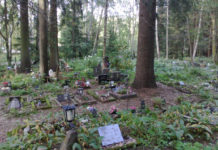 Kérdőív a dunakeszi kisállattemetőről