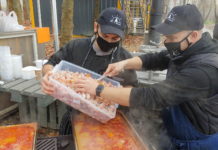 Lemondták a halászlérendelését? Irány a dunakeszi Duna-part!