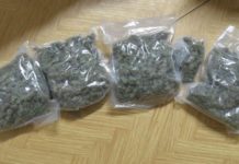 Kábítószerrel a kabátbélésében utazott a szobi vonaton