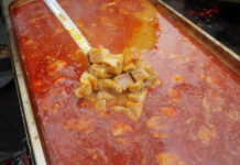 Étel, ital, fürdő – télen is kampányolnak