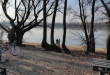 Iszonyatosan alacsony a Duna, de ez most jól jött a vízügynek