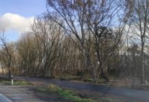 Nyárra meglehet az új bicikliút