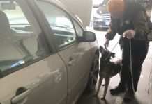 Kutyával mentek a rendőrök a 47 éves férfi dunakeszi lakására