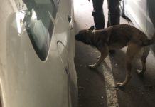 Tudta, hogy mit kaphat, döbbenetes fordulat a Dunakeszin őrizetbe vett férfi ügyében