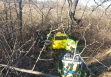 Hogy került a taxi a susnyásba? Baleset a 2-es úton