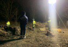 Egy ló teteme alatt találták meg a veresegyházi férfi élettársát