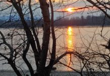 Dunakeszi, ahol jó élni